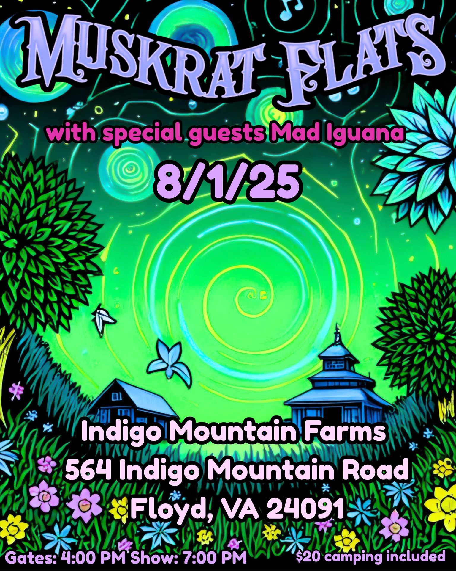 Festival in Floyd, VA with Muskrat Flats
